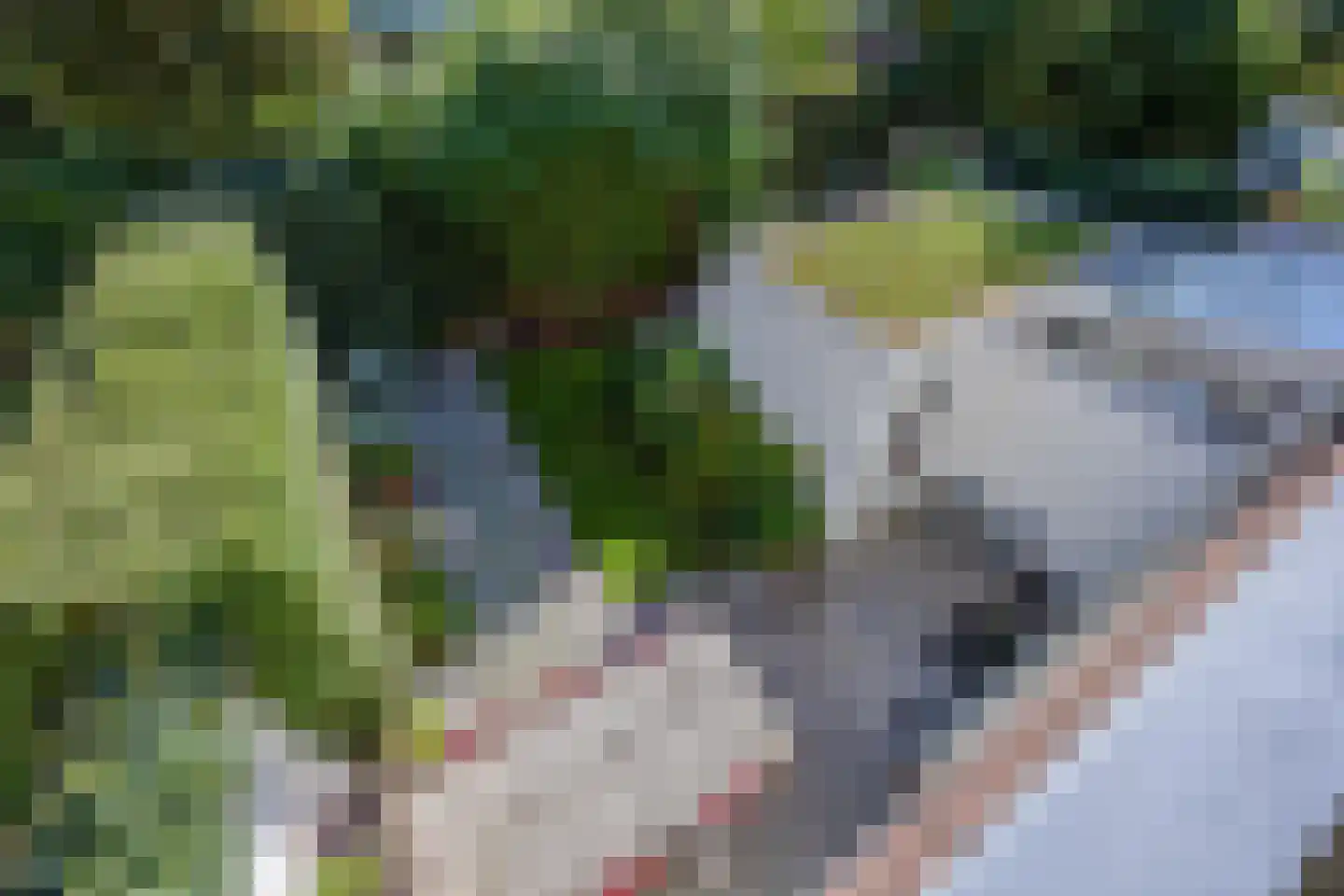 Mesdagstraat 3 Nijmegen thumbnail 50