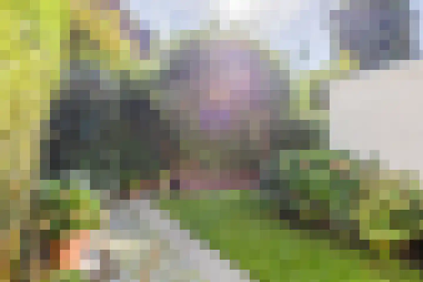 Mesdagstraat 3 Nijmegen thumbnail 53