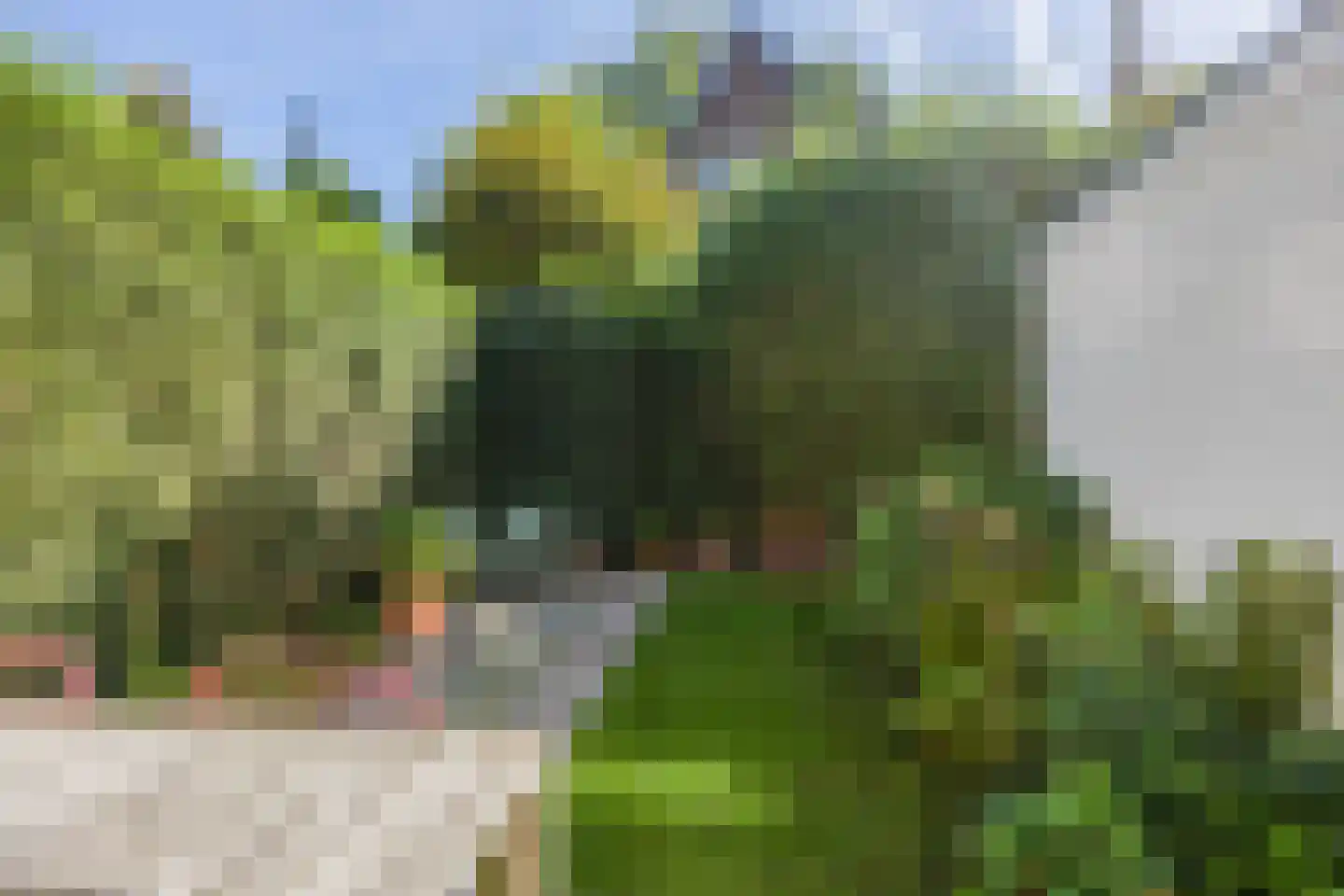 Mesdagstraat 3 Nijmegen thumbnail 6