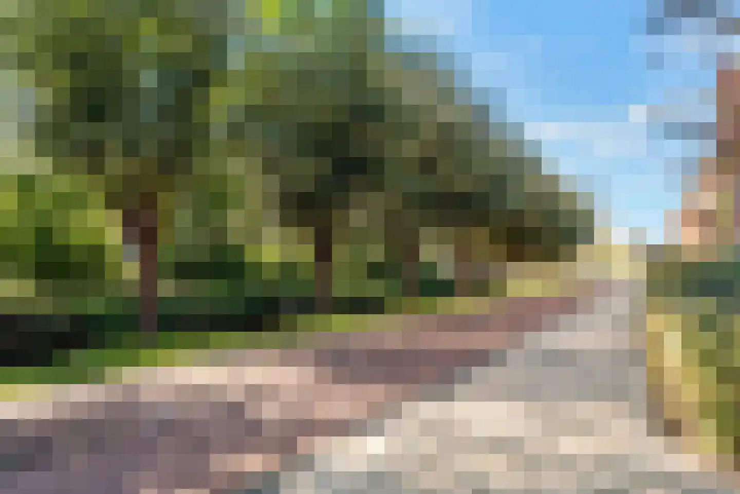 Mesdagstraat 30 Rhoon thumbnail 38