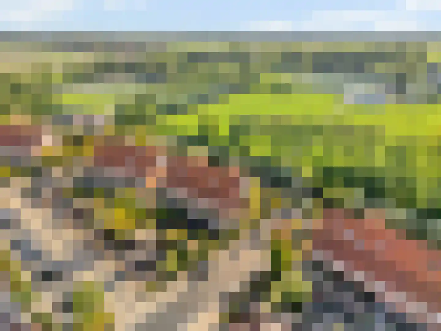 Mesdagstraat 30 Rhoon thumbnail 39