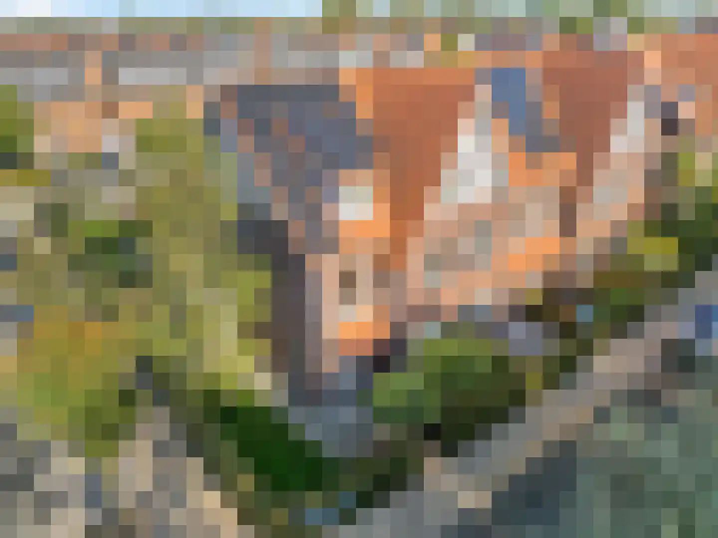 Mesdagstraat 30 Rhoon thumbnail 7