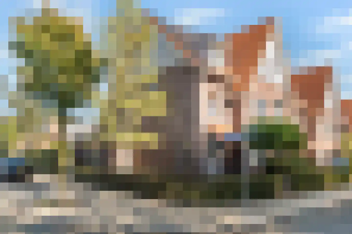 Mesdagstraat 30 Rhoon thumbnail 9