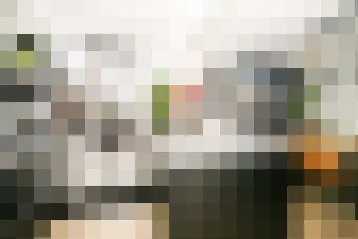 Mesdagstraat 30 Stolwijk thumbnail 13