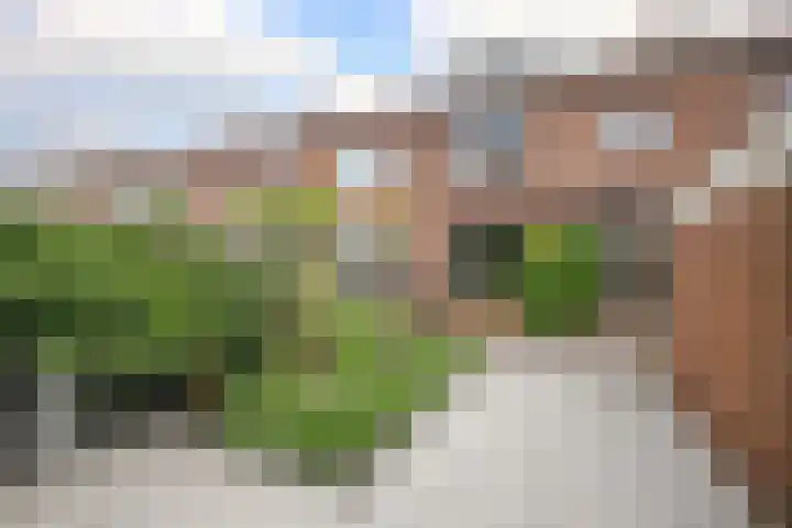 Mesdagstraat 30 Stolwijk thumbnail 24