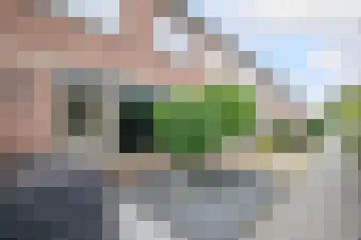 Mesdagstraat 30 Stolwijk thumbnail 5
