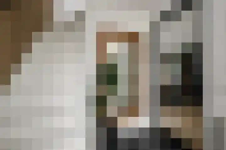 Mesdagstraat 30 Stolwijk thumbnail 7