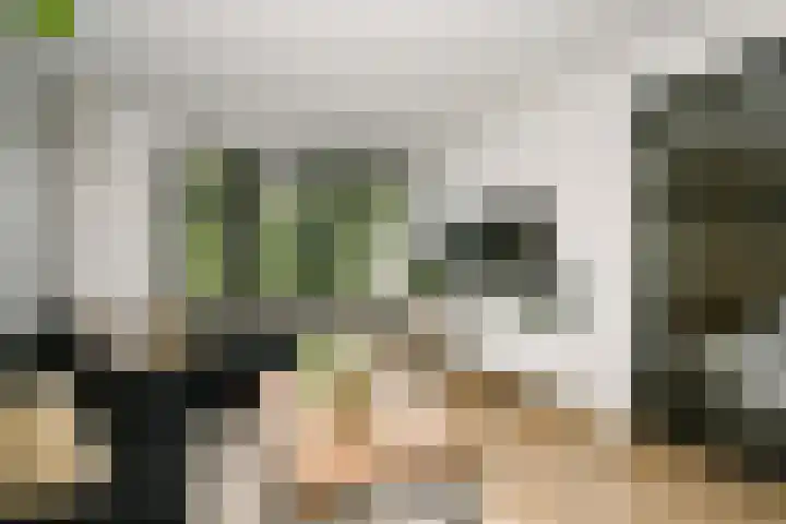 Mesdagstraat 30 Stolwijk thumbnail 8