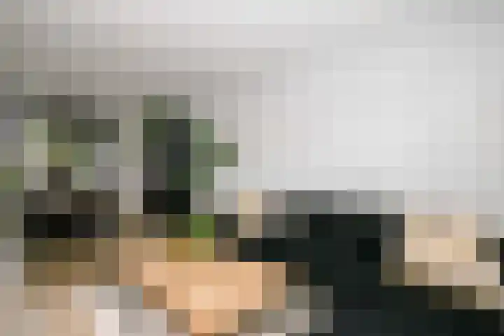Mesdagstraat 30 Stolwijk thumbnail 9