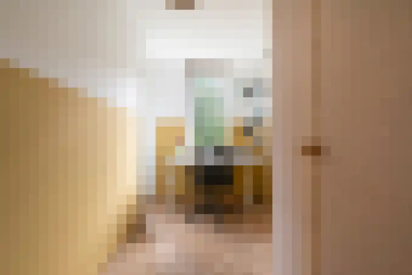 Mesdagstraat 31 2 Amsterdam thumbnail 25