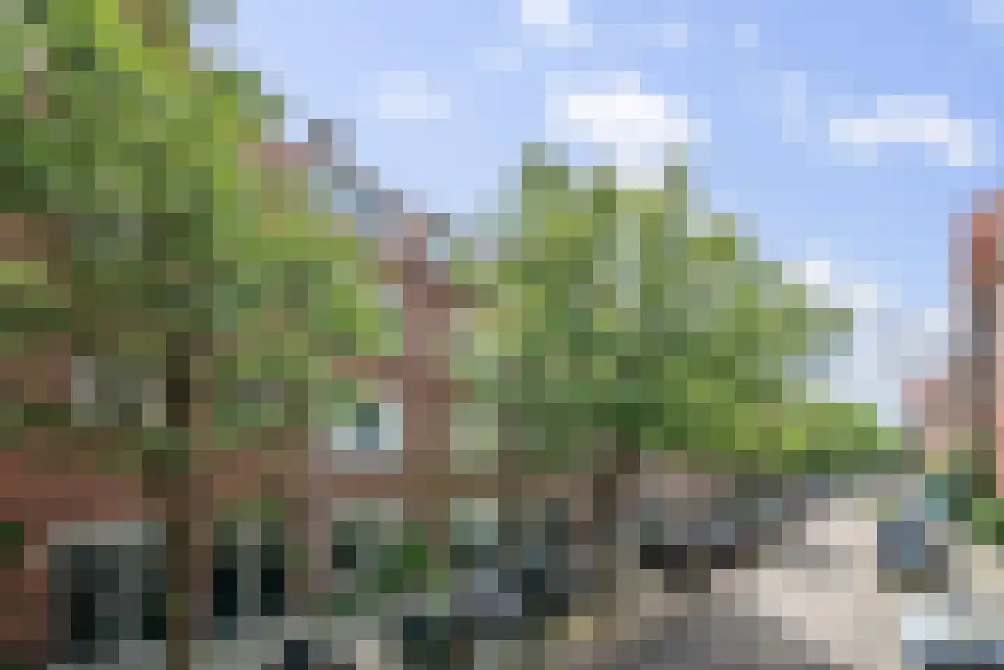Mesdagstraat 31 2 Amsterdam thumbnail 5