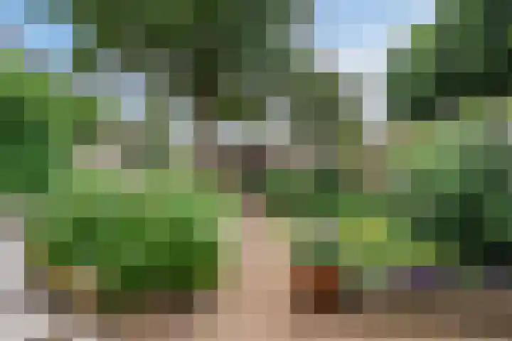 Mesdagstraat 32 Hengelo thumbnail 38