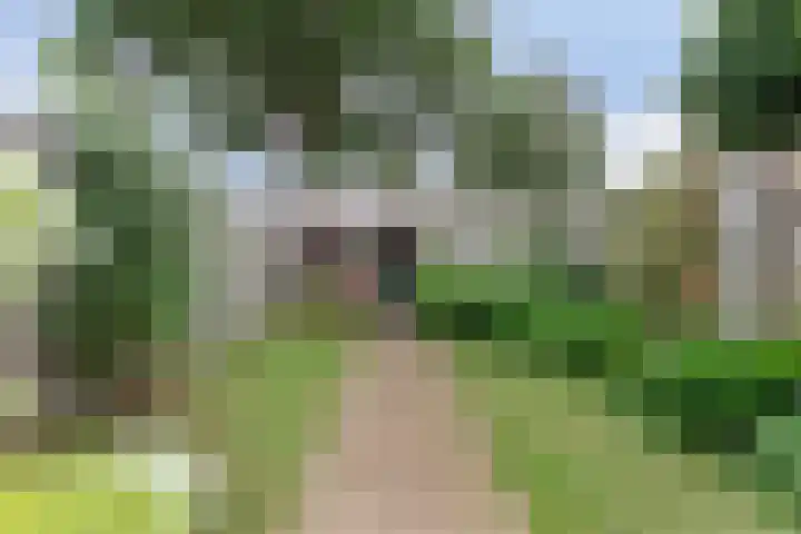 Mesdagstraat 32 Hengelo thumbnail 41