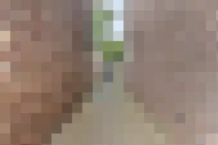 Mesdagstraat 32 Hengelo thumbnail 44