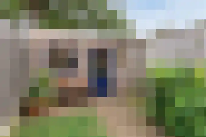 Mesdagstraat 32 Hengelo thumbnail 46