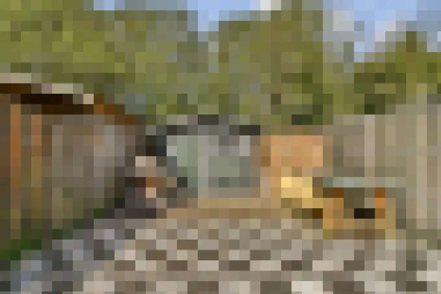 Mesdagstraat 4 Bleiswijk thumbnail 10