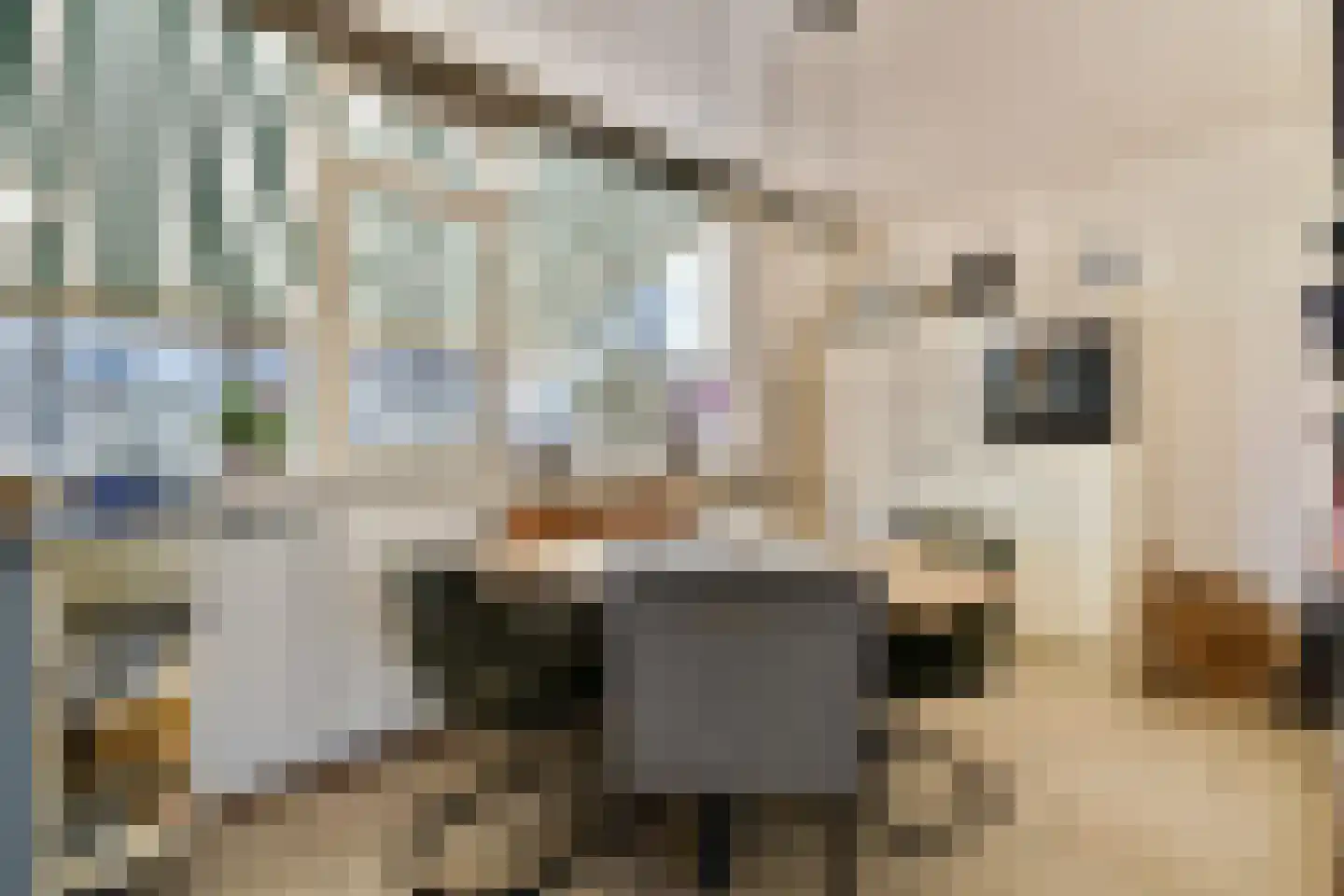Mesdagstraat 4 Bleiswijk thumbnail 12