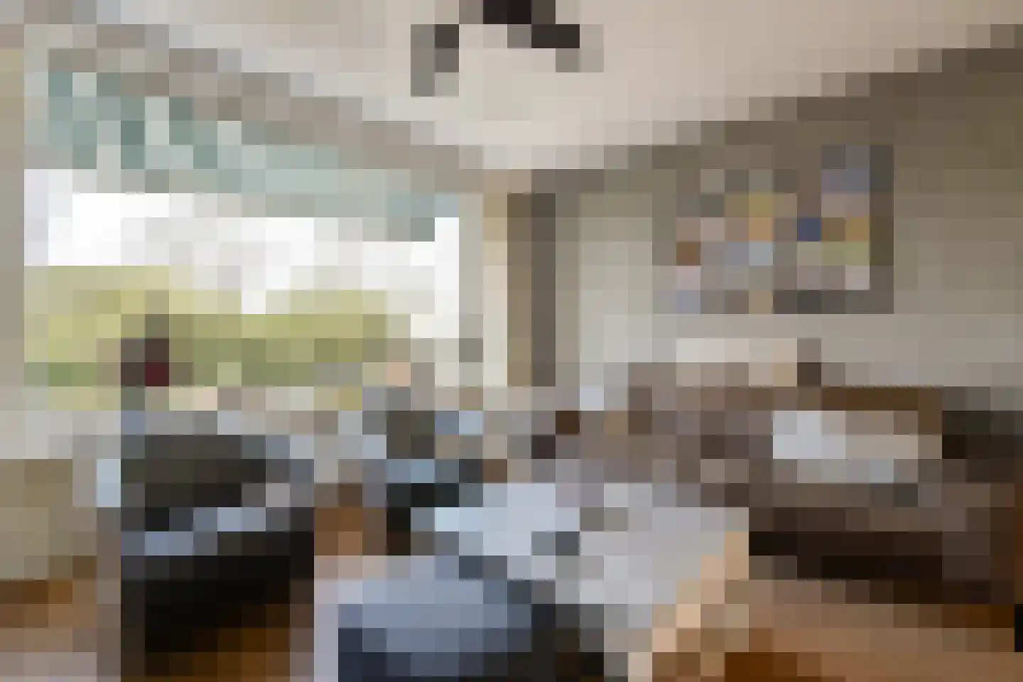 Mesdagstraat 4 Bleiswijk thumbnail 13