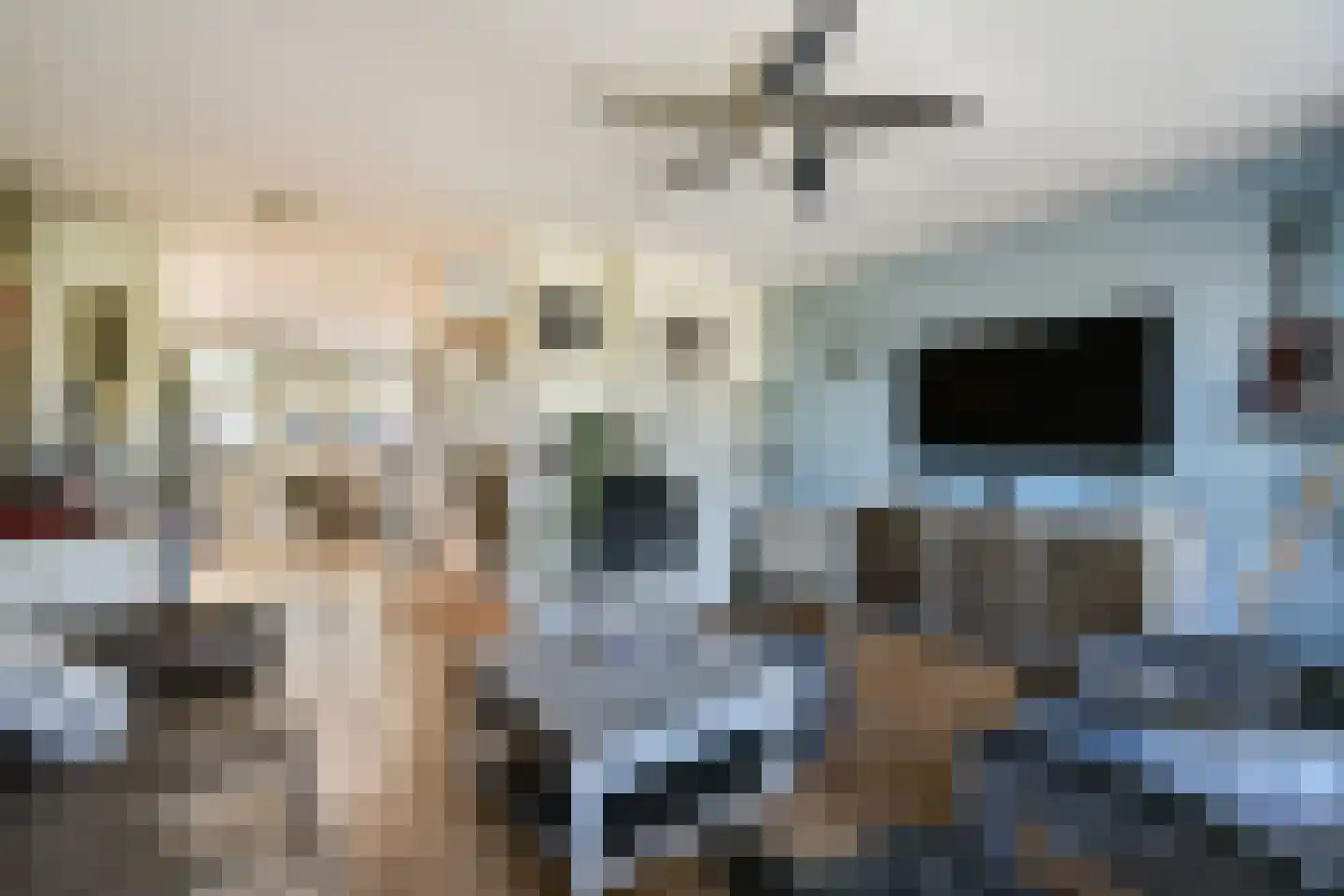 Mesdagstraat 4 Bleiswijk thumbnail 14