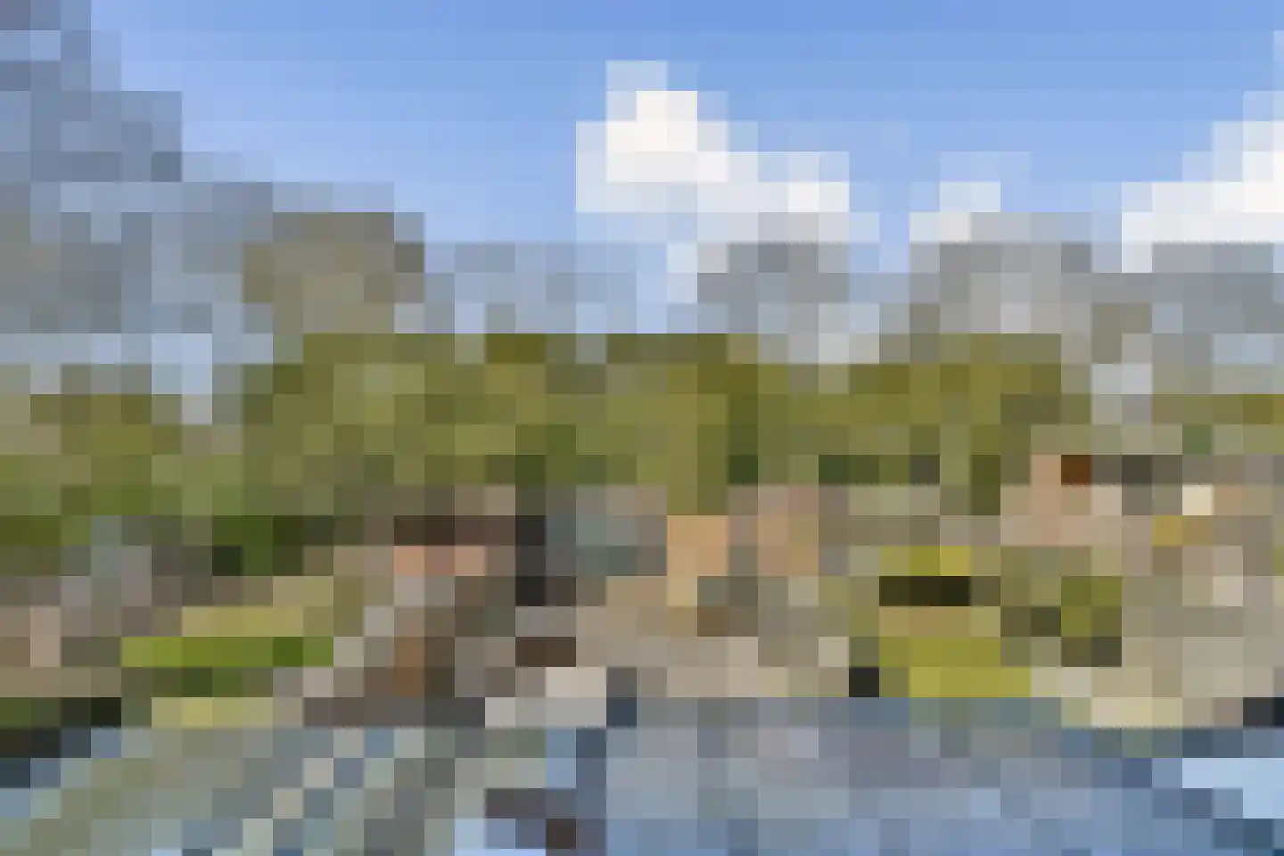 Mesdagstraat 4 Bleiswijk thumbnail 16