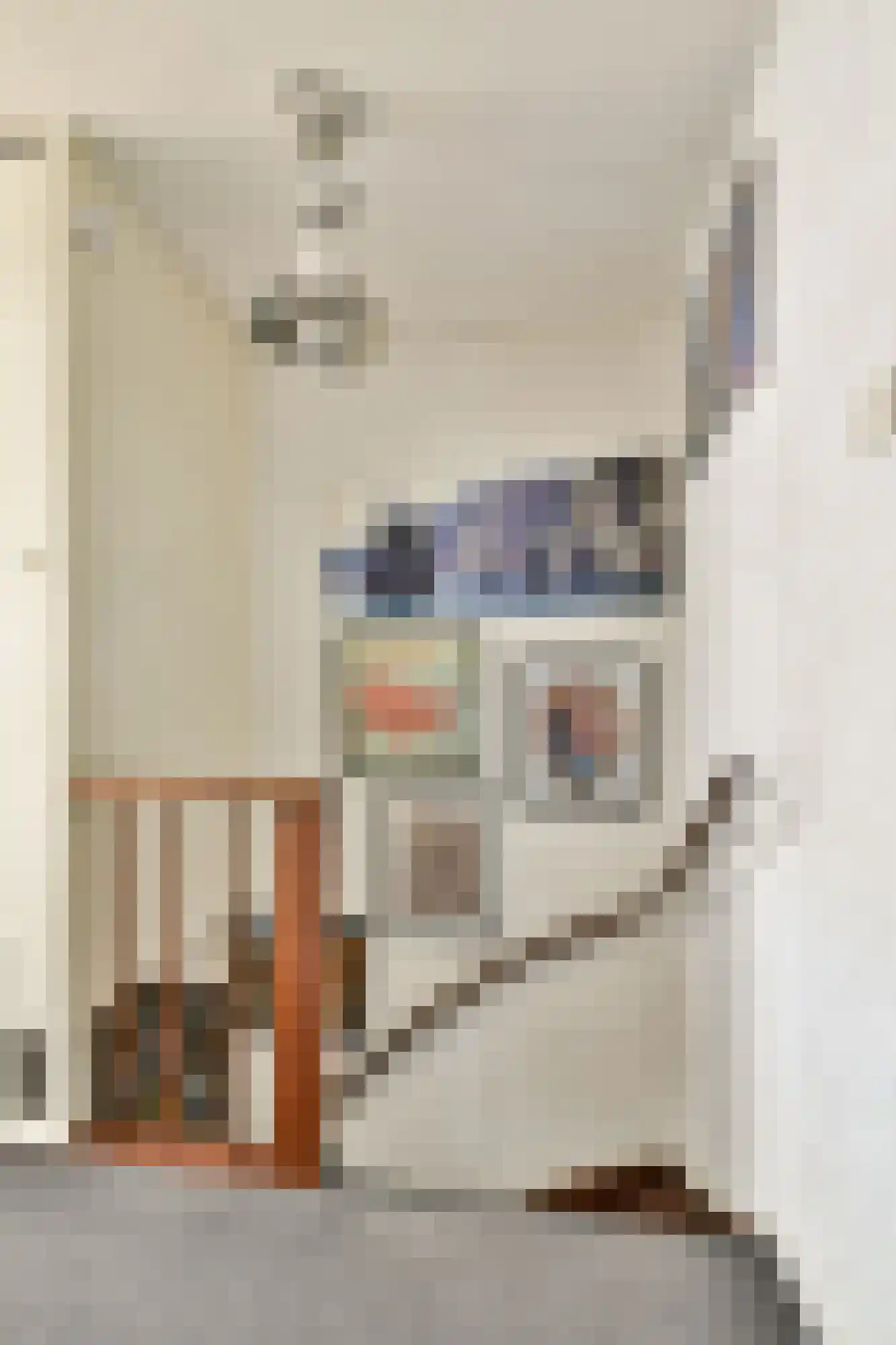 Mesdagstraat 4 Bleiswijk thumbnail 17