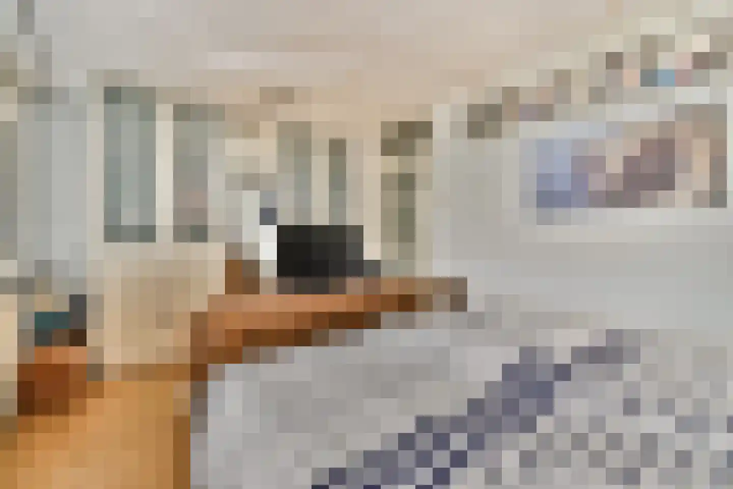 Mesdagstraat 4 Bleiswijk thumbnail 19