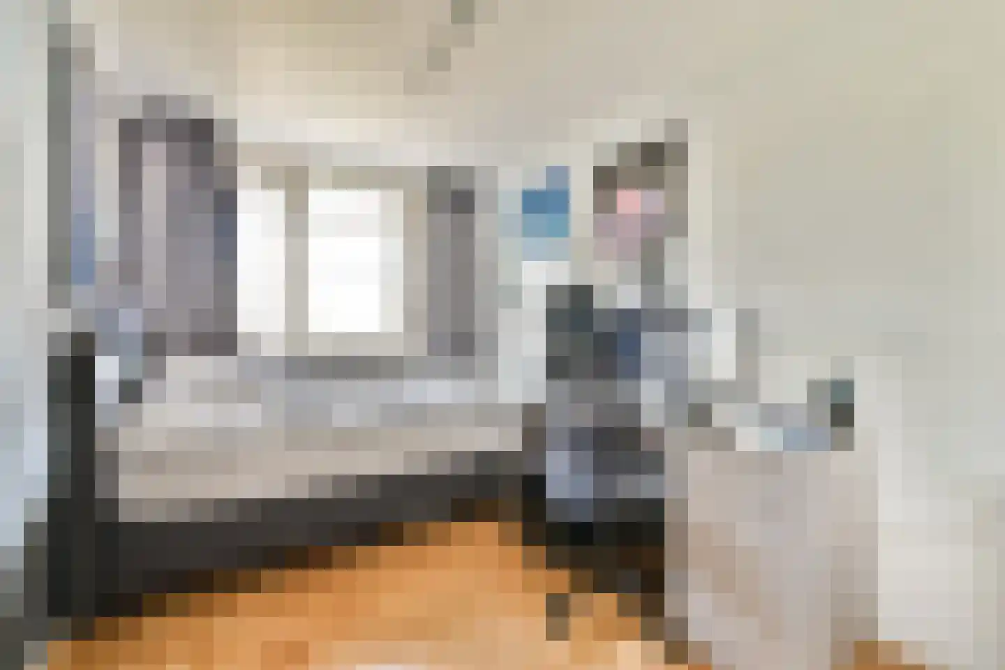 Mesdagstraat 4 Bleiswijk thumbnail 22