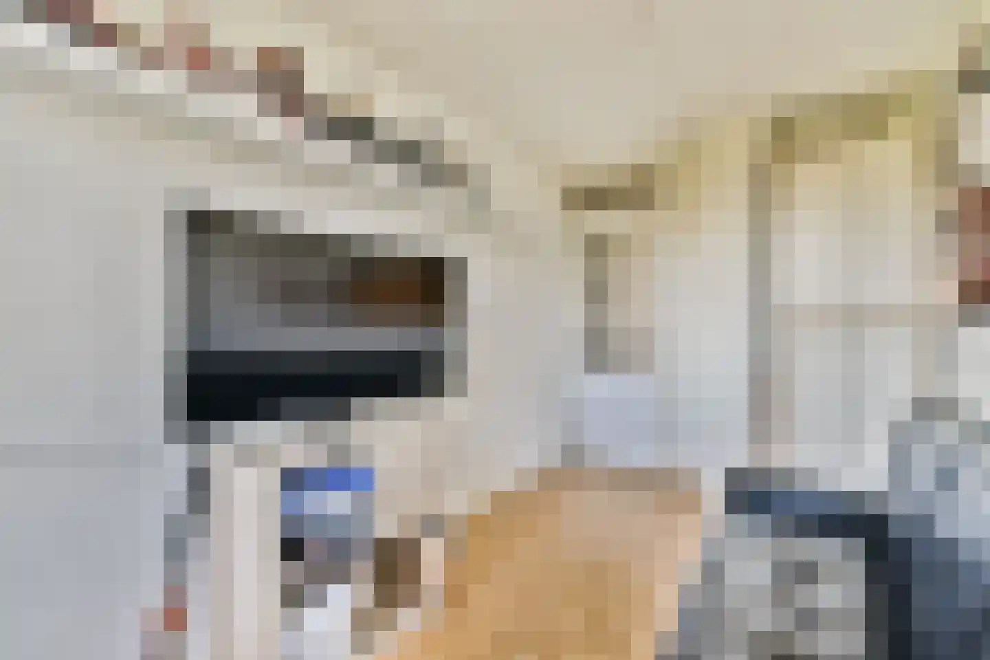 Mesdagstraat 4 Bleiswijk thumbnail 24