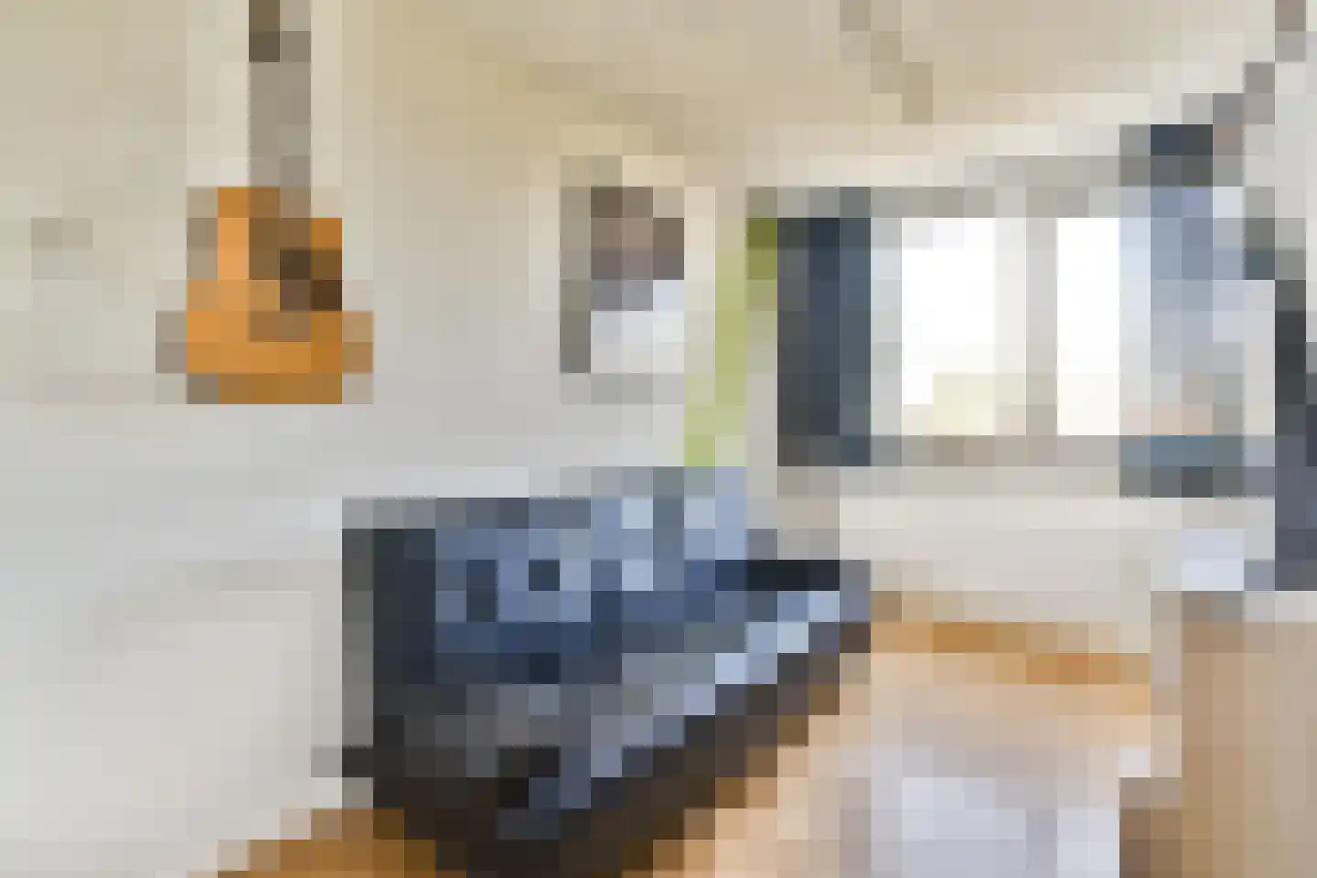 Mesdagstraat 4 Bleiswijk thumbnail 25