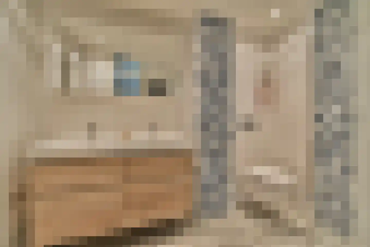 Mesdagstraat 4 Bleiswijk thumbnail 4