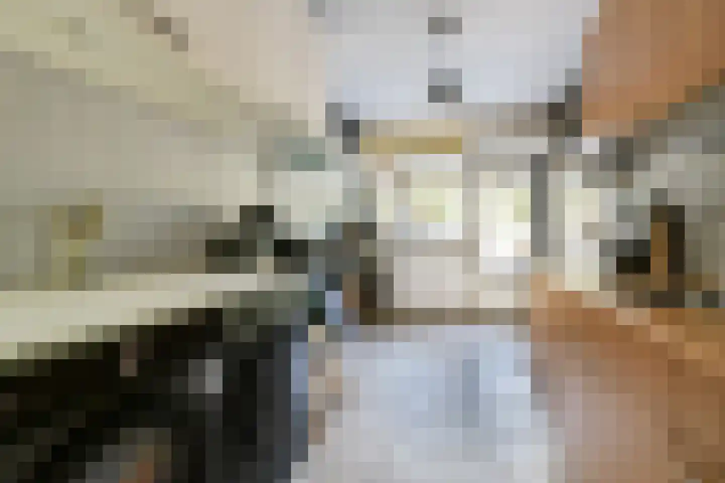 Mesdagstraat 4 Bleiswijk thumbnail 7