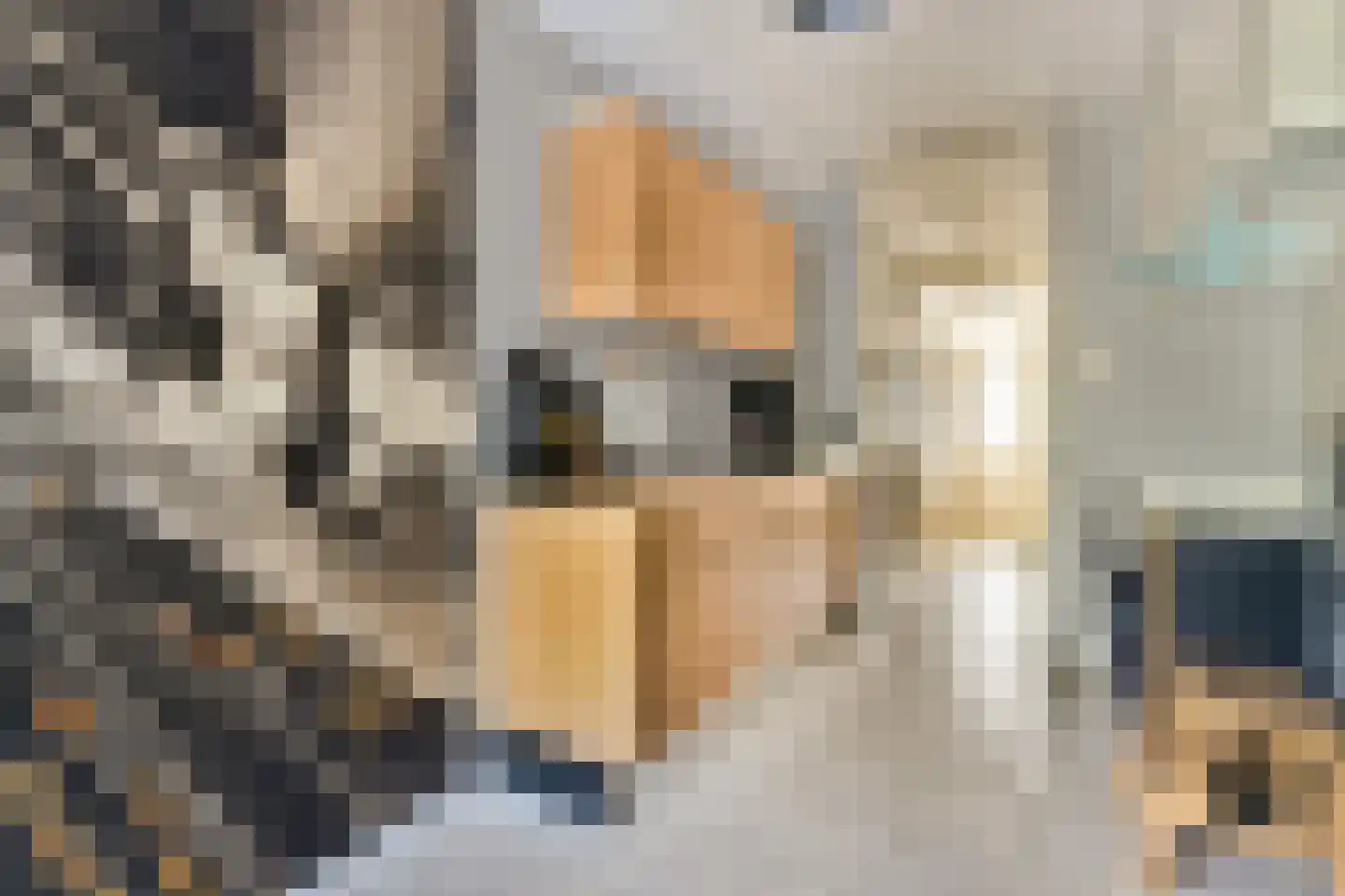 Mesdagstraat 4 Bleiswijk thumbnail 8