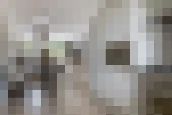 Mesdagstraat 4 Reeuwijk thumbnail 17