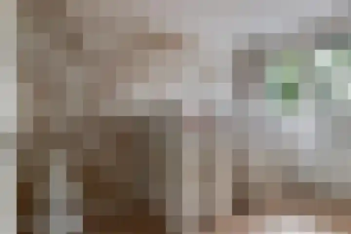 Mesdagstraat 4 Reeuwijk thumbnail 28