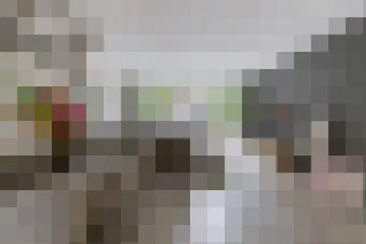 Mesdagstraat 4 Reeuwijk thumbnail 8