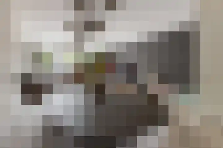 Mesdagstraat 4 Reeuwijk thumbnail 9