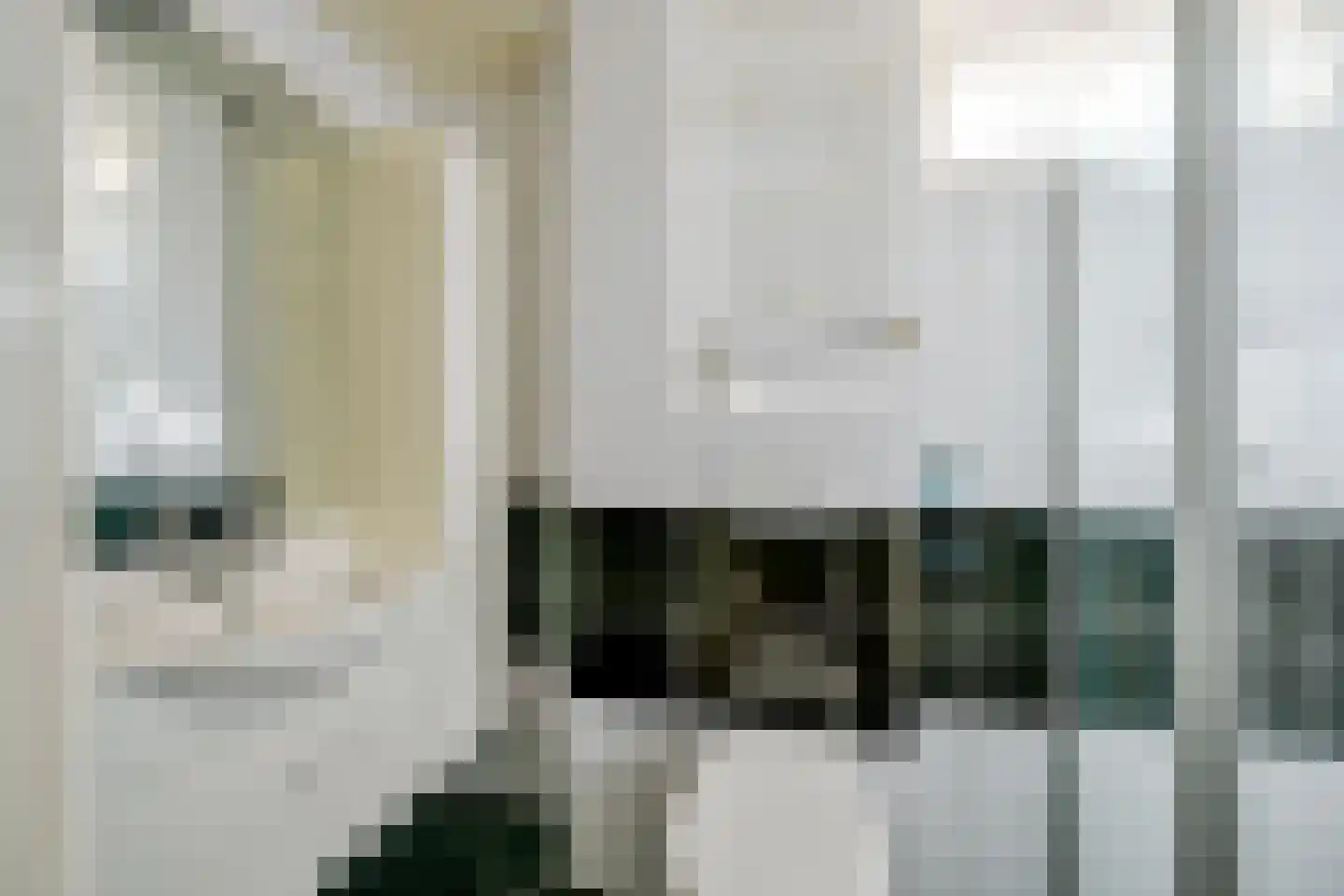 Mesdagstraat 46 Heerhugowaard thumbnail 22