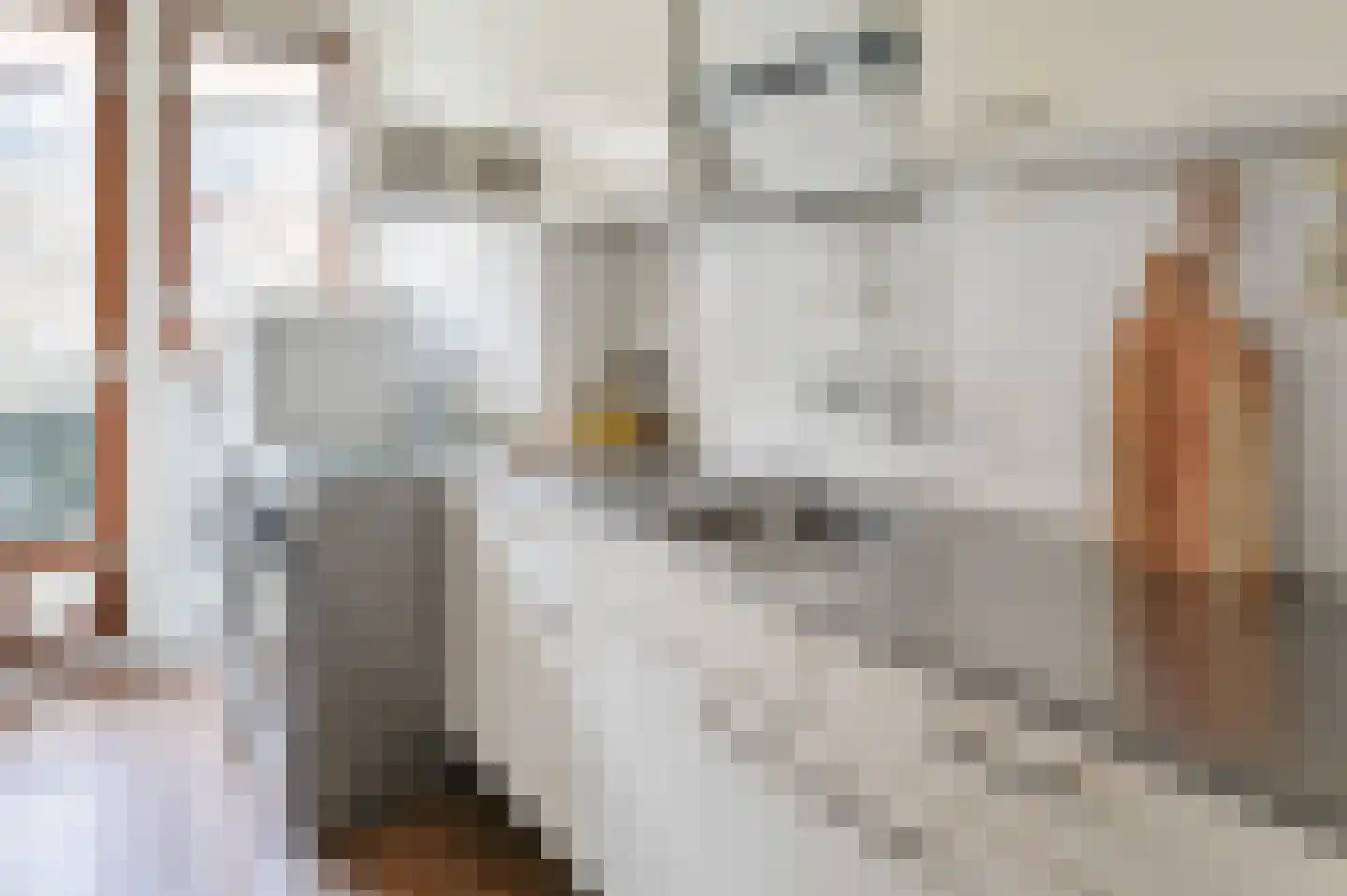 Mesdagstraat 48 2 Amsterdam thumbnail 7