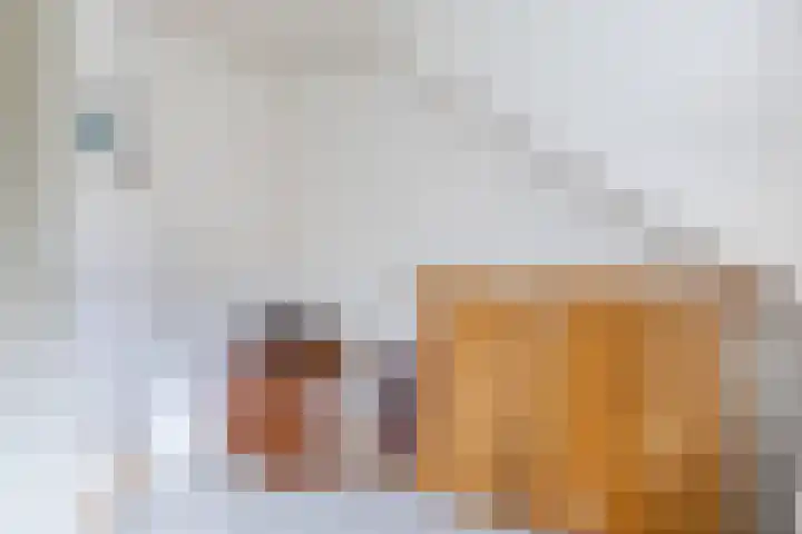 Mesdagstraat 5 Hoogeveen thumbnail 34