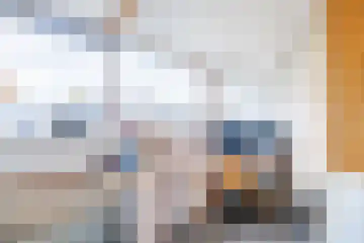 Mesdagstraat 5 Hoogeveen thumbnail 35