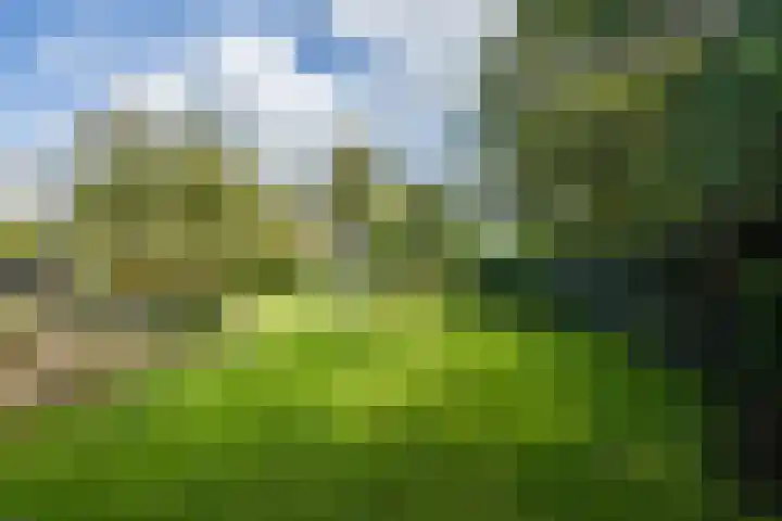 Mesdagstraat 5 Hoogeveen thumbnail 40