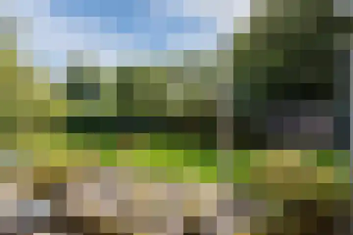 Mesdagstraat 5 Hoogeveen thumbnail 43