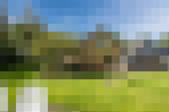 Mesdagstraat 5 Hoogeveen thumbnail 45