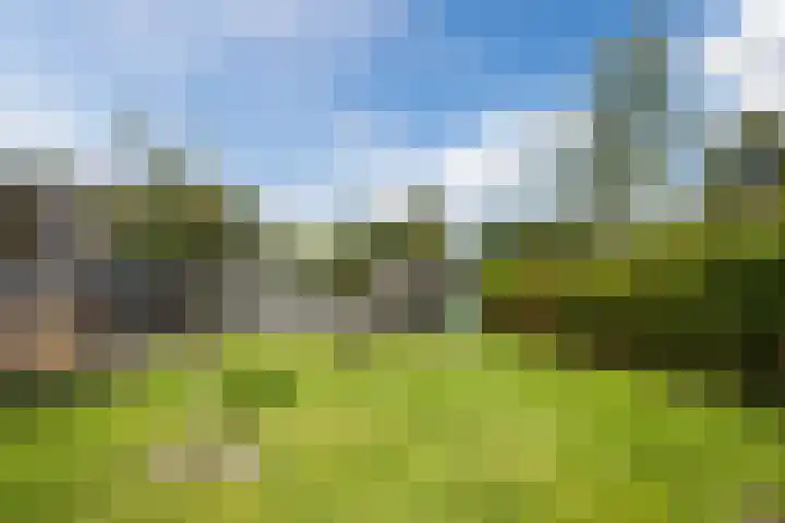 Mesdagstraat 5 Hoogeveen thumbnail 46
