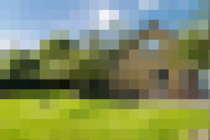 Mesdagstraat 5 Hoogeveen thumbnail 47