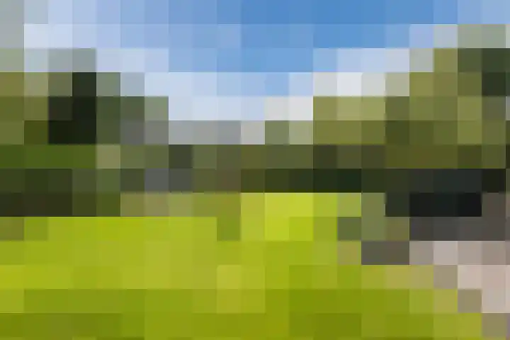 Mesdagstraat 5 Hoogeveen thumbnail 49