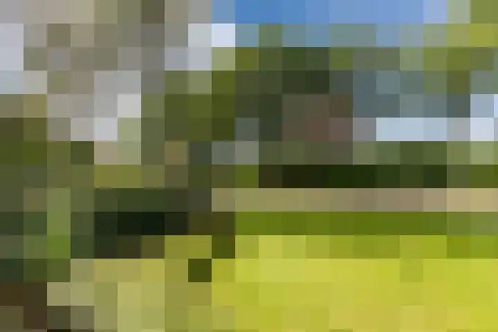 Mesdagstraat 5 Hoogeveen thumbnail 53