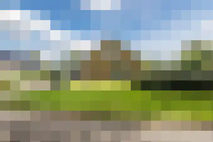 Mesdagstraat 5 Hoogeveen thumbnail 55