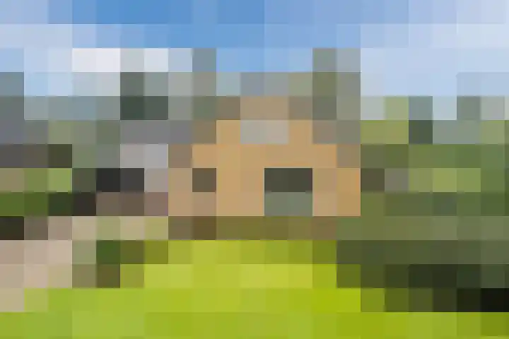 Mesdagstraat 5 Hoogeveen thumbnail 58