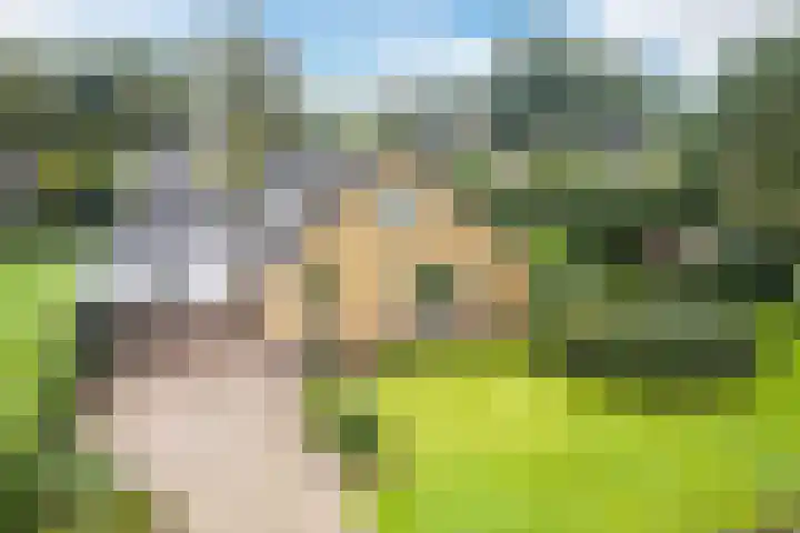 Mesdagstraat 5 Hoogeveen thumbnail 59